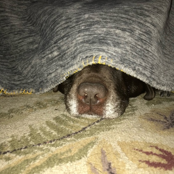 Meet your Posher, Angela - Picture 12 of 16